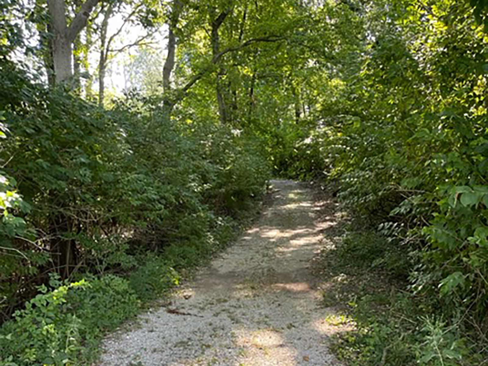 gravel trail at the archery range