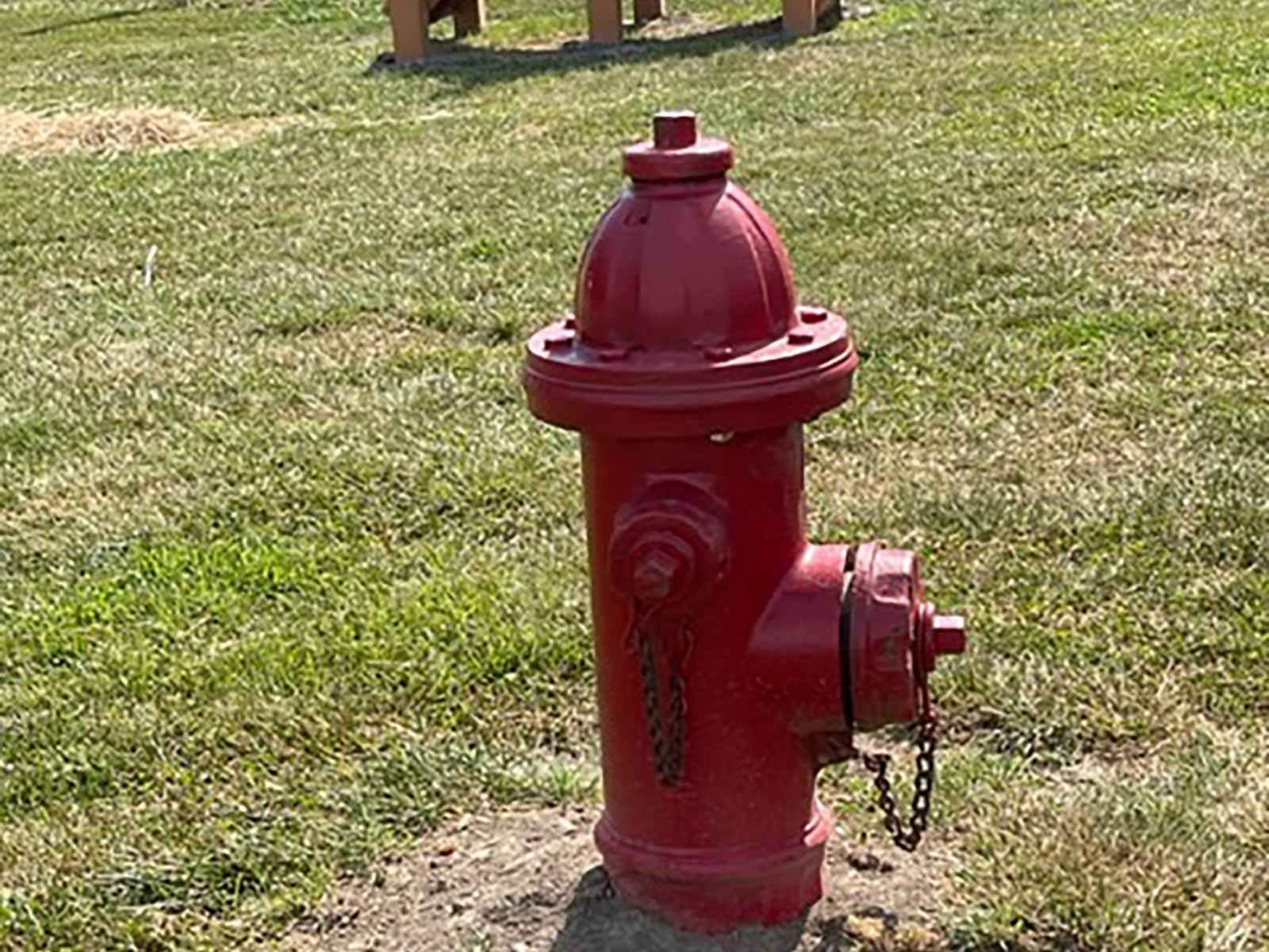 hydrant at the Bark Park