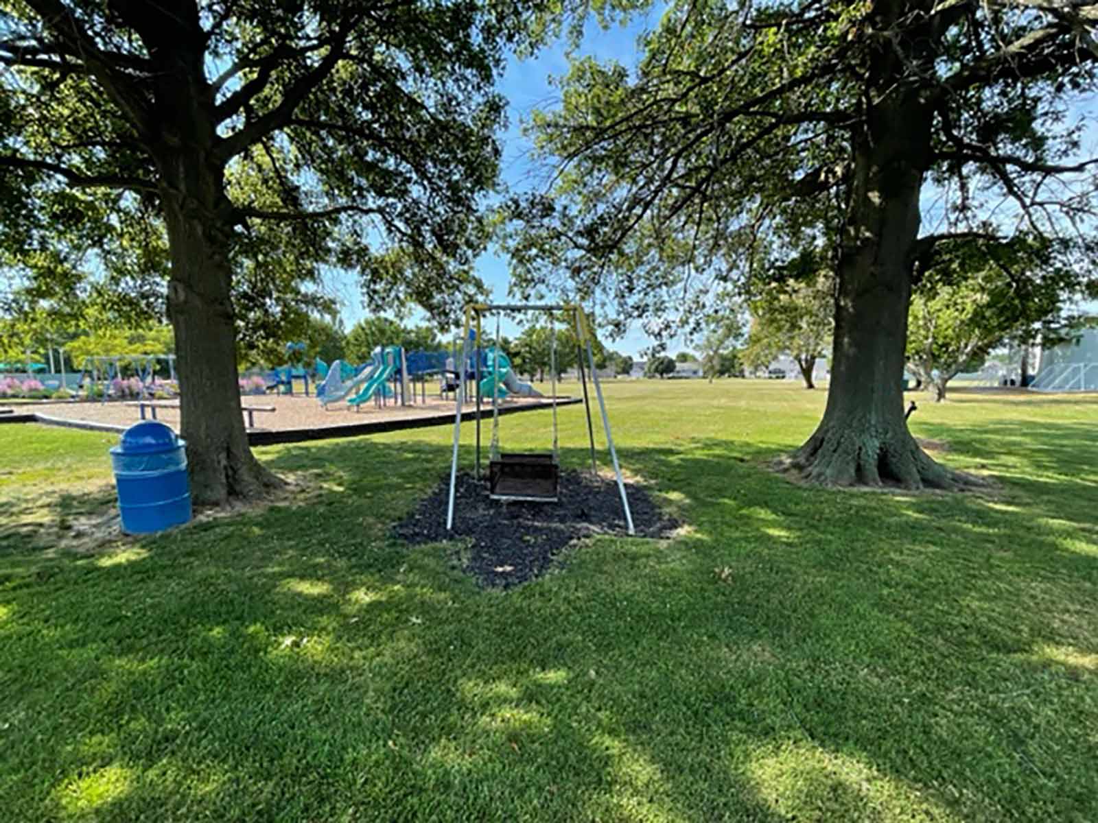 a swing at Davis Park