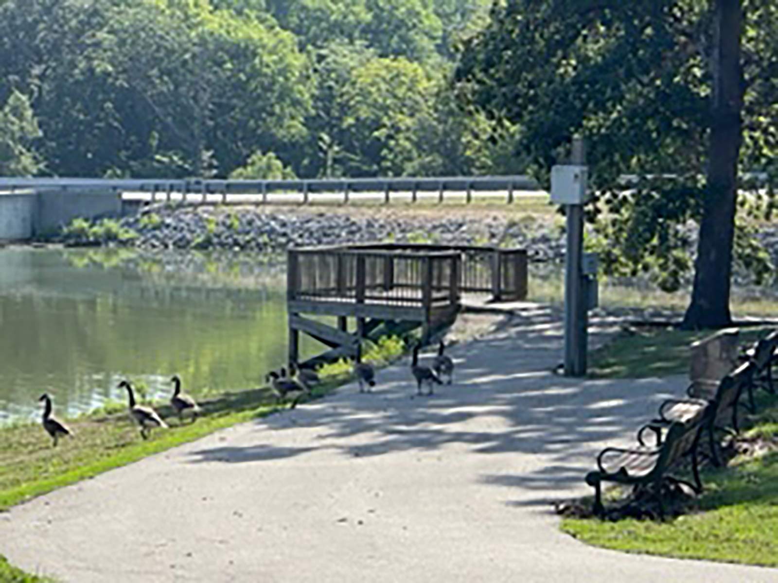 a desk overlooking the lake at Walton Park